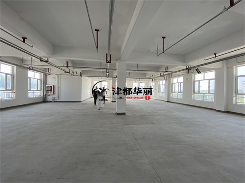 彭阳台球厅装修设计项目|津都华丽设计